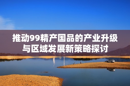 推动99精产国品的产业升级与区域发展新策略探讨