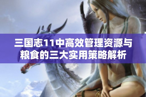 三国志11中高效管理资源与粮食的三大实用策略解析
