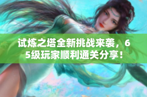 试炼之塔全新挑战来袭，65级玩家顺利通关分享！