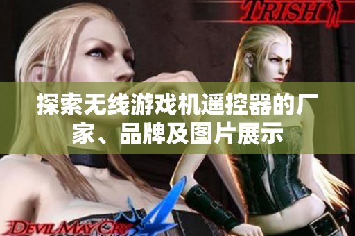 探索无线游戏机遥控器的厂家、品牌及图片展示
