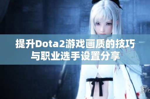 提升Dota2游戏画质的技巧与职业选手设置分享