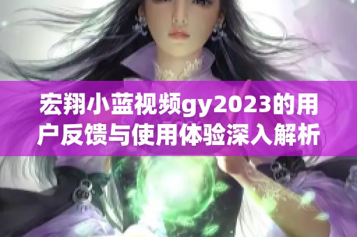 宏翔小蓝视频gy2023的用户反馈与使用体验深入解析