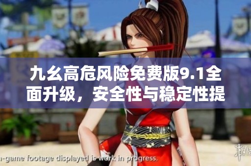 九幺高危风险免费版9.1全面升级，安全性与稳定性提升解析