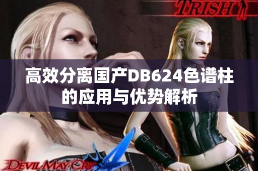 高效分离国产DB624色谱柱的应用与优势解析