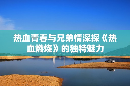 热血青春与兄弟情深探《热血燃烧》的独特魅力