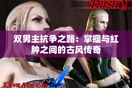双男主抗争之路：掌掴与红肿之间的古风传奇