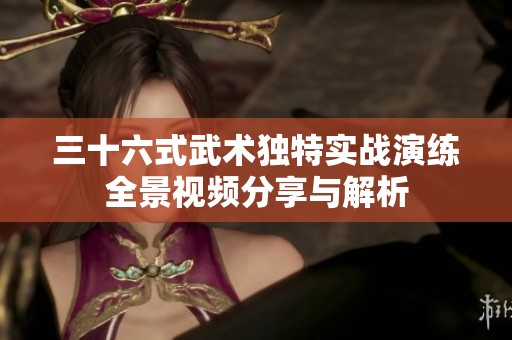 三十六式武术独特实战演练全景视频分享与解析