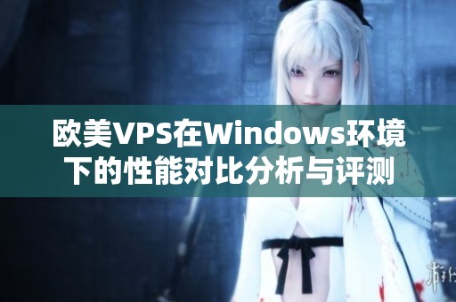 欧美VPS在Windows环境下的性能对比分析与评测
