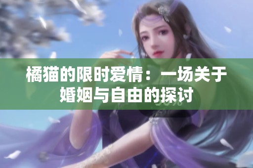 橘猫的限时爱情：一场关于婚姻与自由的探讨