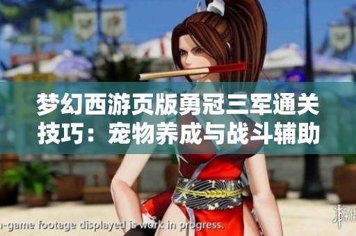 梦幻西游页版勇冠三军通关技巧：宠物养成与战斗辅助指南