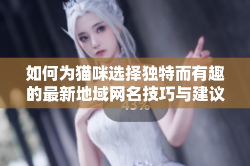 如何为猫咪选择独特而有趣的最新地域网名技巧与建议