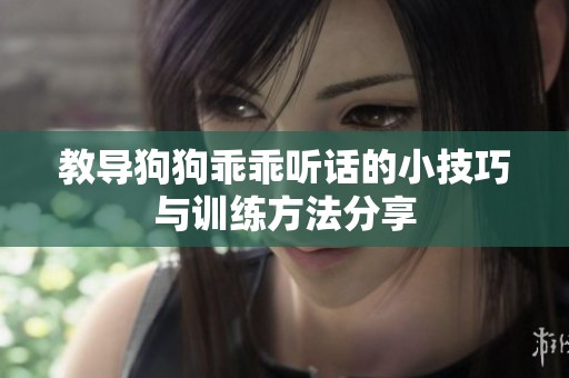 教导狗狗乖乖听话的小技巧与训练方法分享