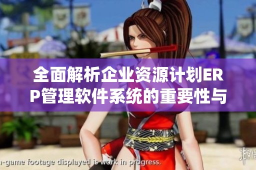 全面解析企业资源计划ERP管理软件系统的重要性与应用