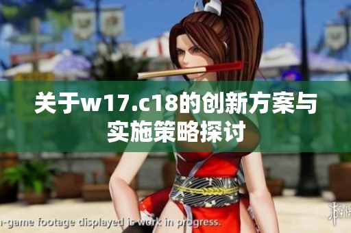 关于w17.c18的创新方案与实施策略探讨