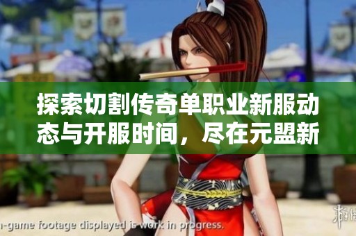 探索切割传奇单职业新服动态与开服时间，尽在元盟新服网全新更新解析