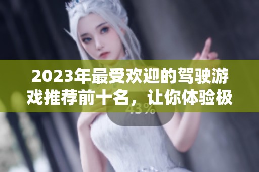 2023年最受欢迎的驾驶游戏推荐前十名，让你体验极致驾驶乐趣
