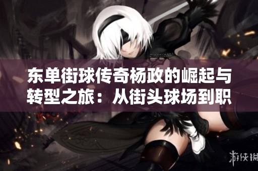 东单街球传奇杨政的崛起与转型之旅：从街头球场到职业赛场的奋斗故事