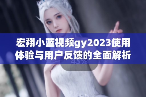 宏翔小蓝视频gy2023使用体验与用户反馈的全面解析