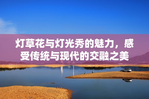 灯草花与灯光秀的魅力，感受传统与现代的交融之美