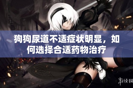 狗狗尿道不适症状明显，如何选择合适药物治疗