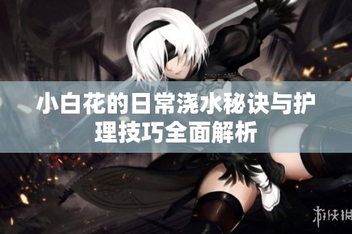 小白花的日常浇水秘诀与护理技巧全面解析