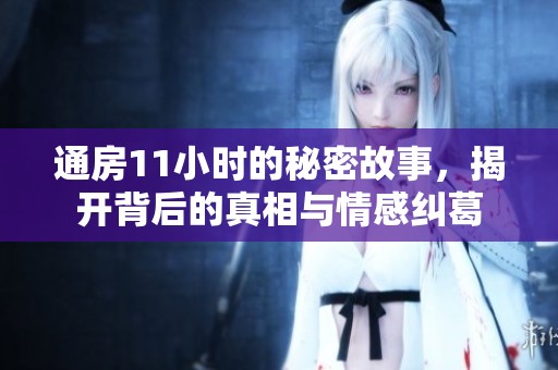 通房11小时的秘密故事，揭开背后的真相与情感纠葛
