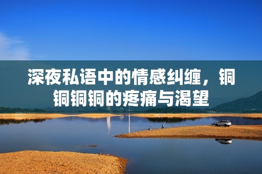 深夜私语中的情感纠缠，铜铜铜铜的疼痛与渴望
