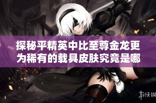 探秘平精英中比至尊金龙更为稀有的载具皮肤究竟是哪个独特存在