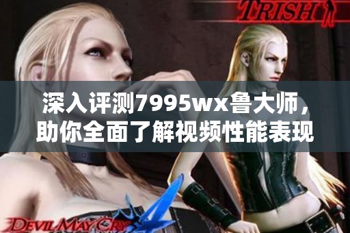 深入评测7995wx鲁大师，助你全面了解视频性能表现