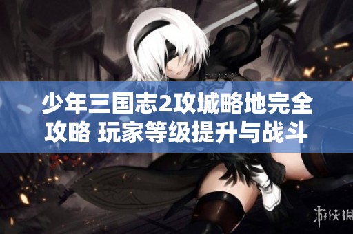 少年三国志2攻城略地完全攻略 玩家等级提升与战斗策略解析