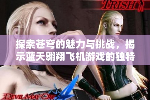 探索苍穹的魅力与挑战，揭示蓝天翱翔飞机游戏的独特魅力与乐趣