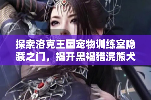 探索洛克王国宠物训练室隐藏之门，揭开黑褐猎浣熊犬的训练秘密与奥秘