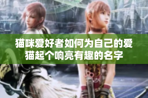 猫咪爱好者如何为自己的爱猫起个响亮有趣的名字