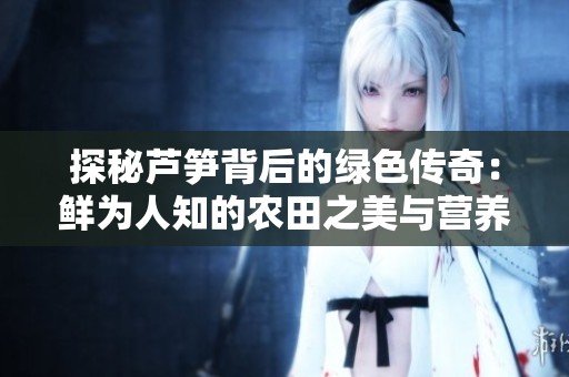 探秘芦笋背后的绿色传奇：鲜为人知的农田之美与营养价值分析