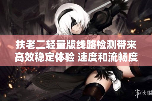 扶老二轻量版线路检测带来高效稳定体验 速度和流畅度双重提升