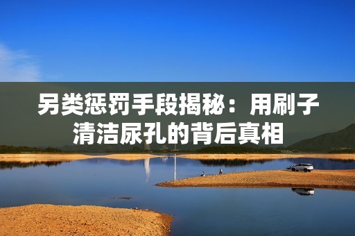 另类惩罚手段揭秘：用刷子清洁尿孔的背后真相