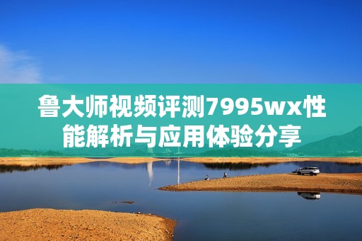 鲁大师视频评测7995wx性能解析与应用体验分享