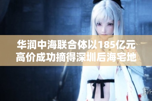 华润中海联合体以185亿元高价成功摘得深圳后海宅地 创下当地新纪录