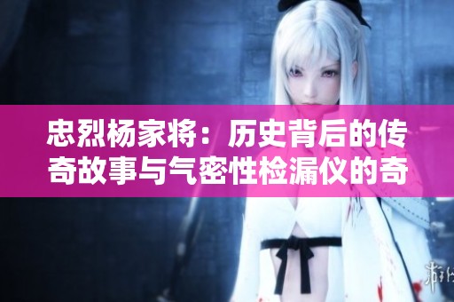忠烈杨家将：历史背后的传奇故事与气密性检漏仪的奇妙关联探秘之旅