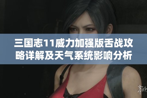 三国志11威力加强版舌战攻略详解及天气系统影响分析