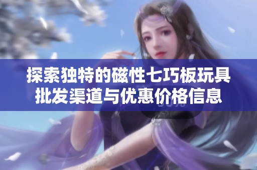 探索独特的磁性七巧板玩具批发渠道与优惠价格信息