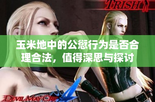 玉米地中的公愆行为是否合理合法，值得深思与探讨
