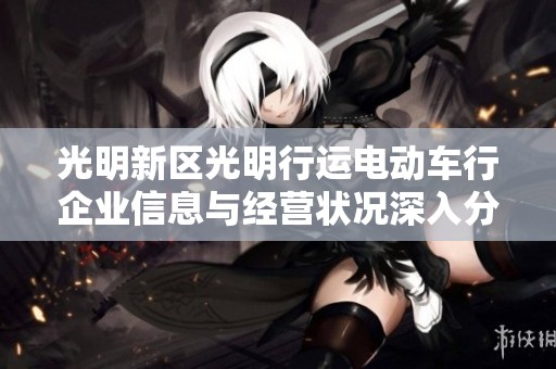 光明新区光明行运电动车行企业信息与经营状况深入分析