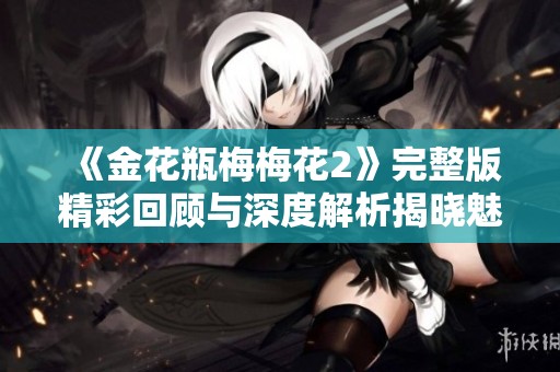 《金花瓶梅梅花2》完整版精彩回顾与深度解析揭晓魅力所在