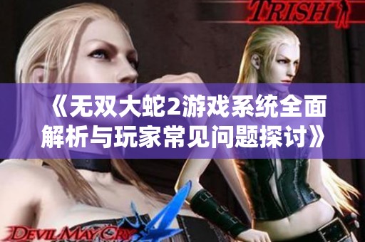 《无双大蛇2游戏系统全面解析与玩家常见问题探讨》