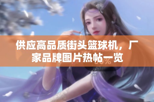供应高品质街头篮球机，厂家品牌图片热帖一览