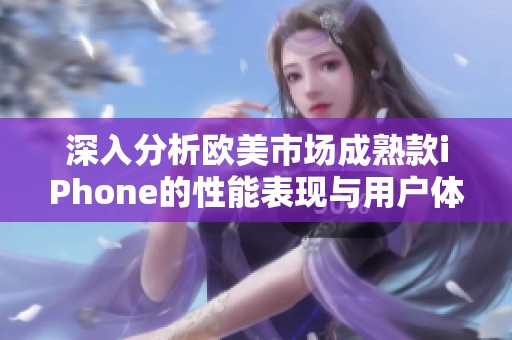 深入分析欧美市场成熟款iPhone的性能表现与用户体验