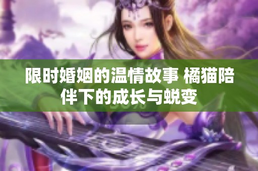 限时婚姻的温情故事 橘猫陪伴下的成长与蜕变