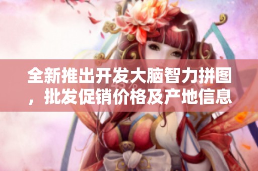 全新推出开发大脑智力拼图，批发促销价格及产地信息详解