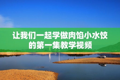 让我们一起学做肉馅小水饺的第一集教学视频
